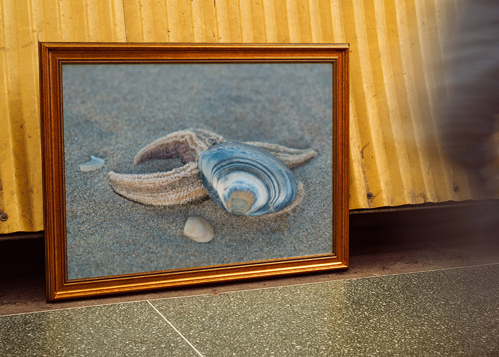 Stella marina con conchiglia sulla spiaggia