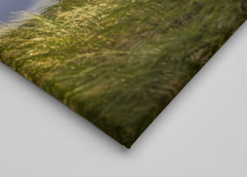 Lighthouse in Warnemünde