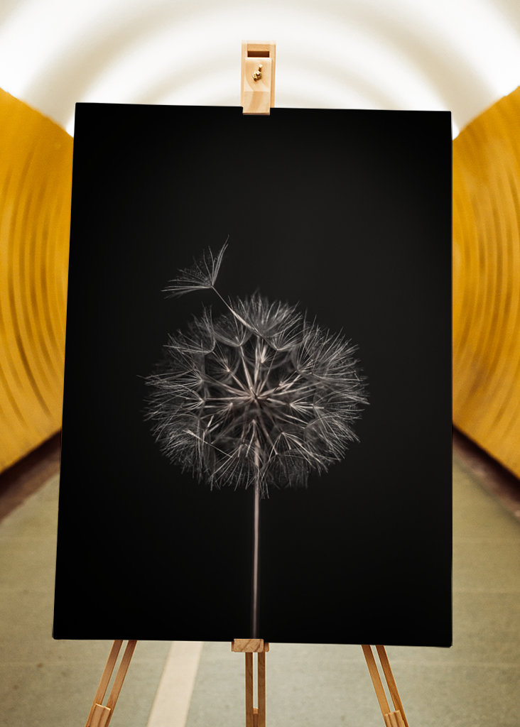 Dandelion