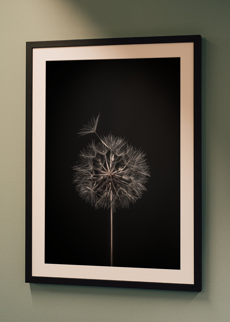Dandelion