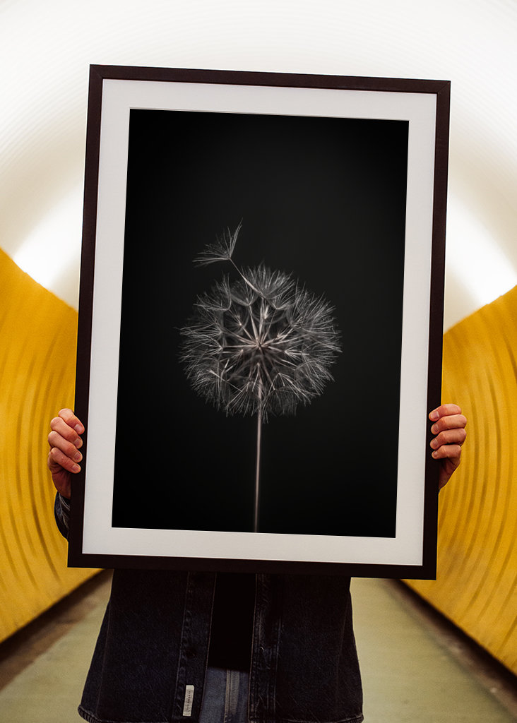 Dandelion