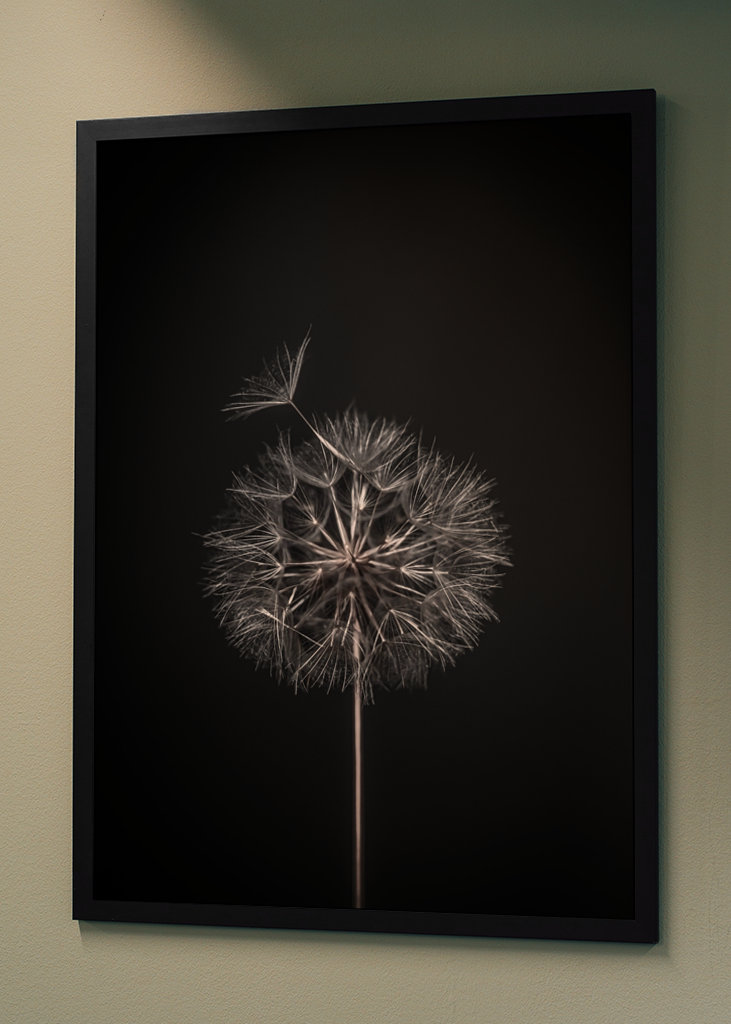 Dandelion