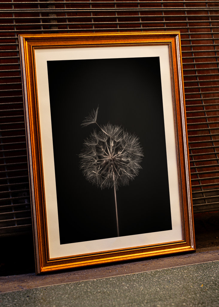 Dandelion
