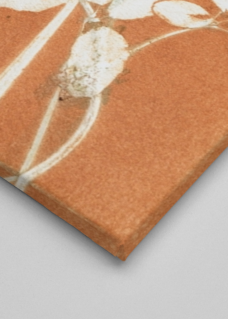 Orange botaniske blade