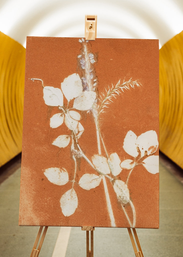 Orange botaniske blade