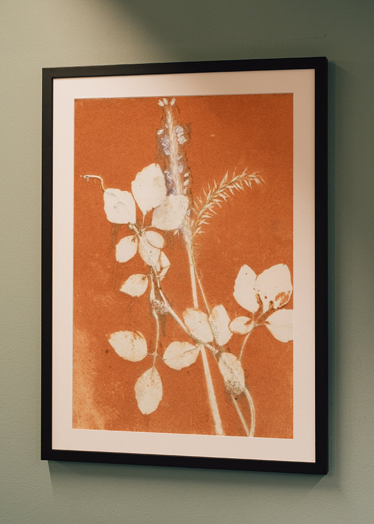 Orange botaniske blade