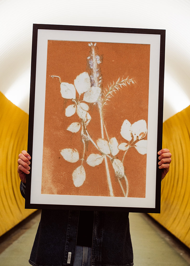 Orange botaniske blade