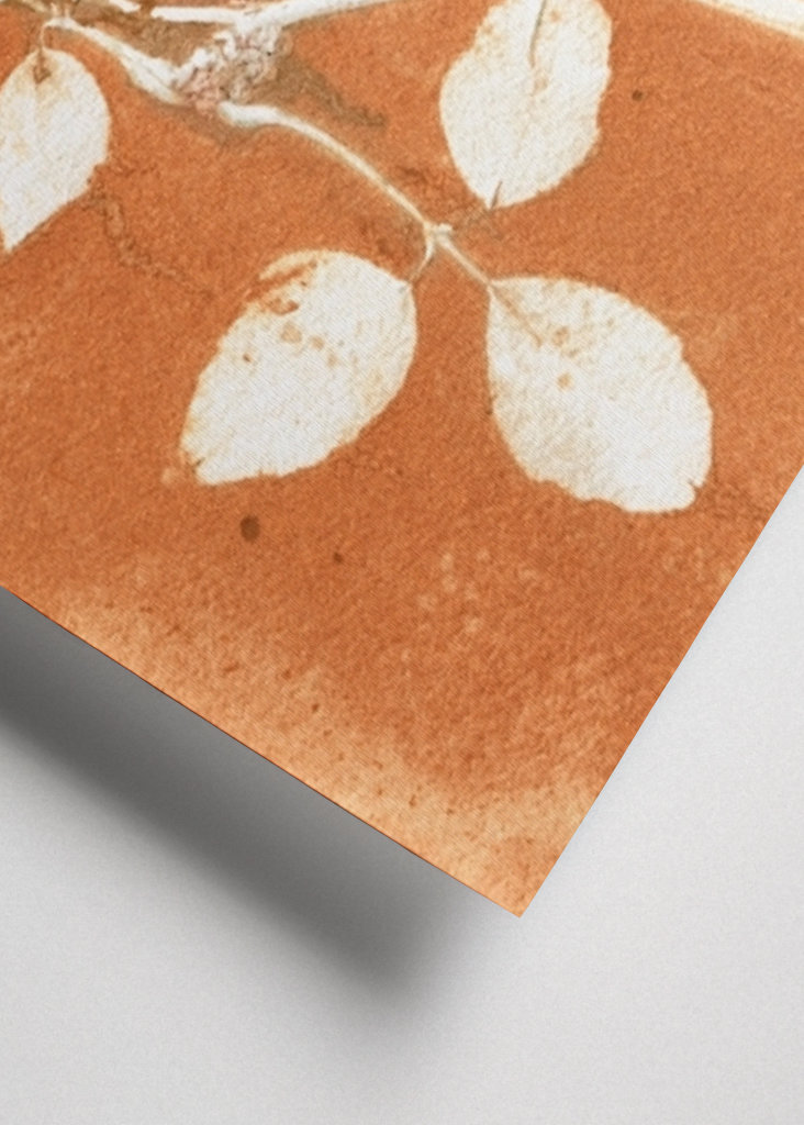 Orange botaniske blade