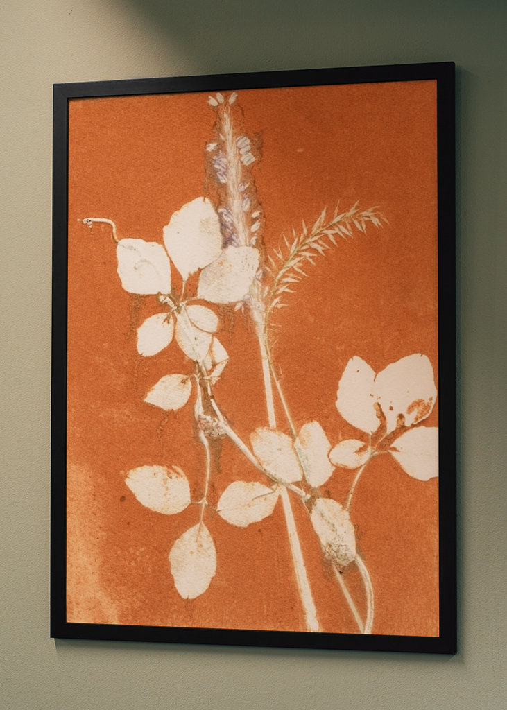 Orange botaniske blade