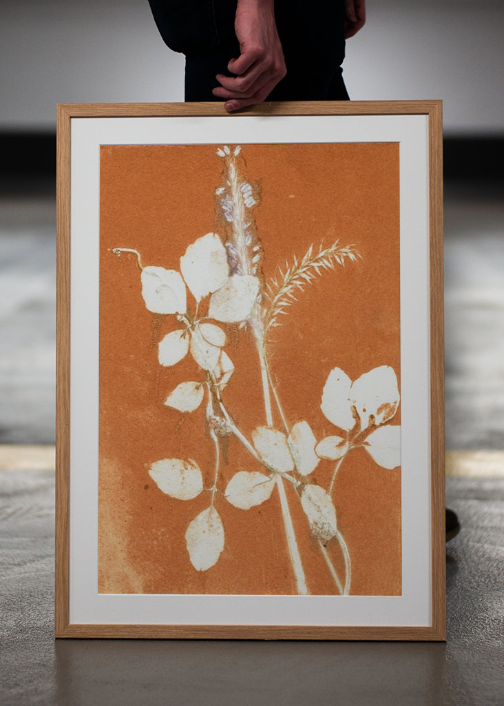 Orange botaniske blade