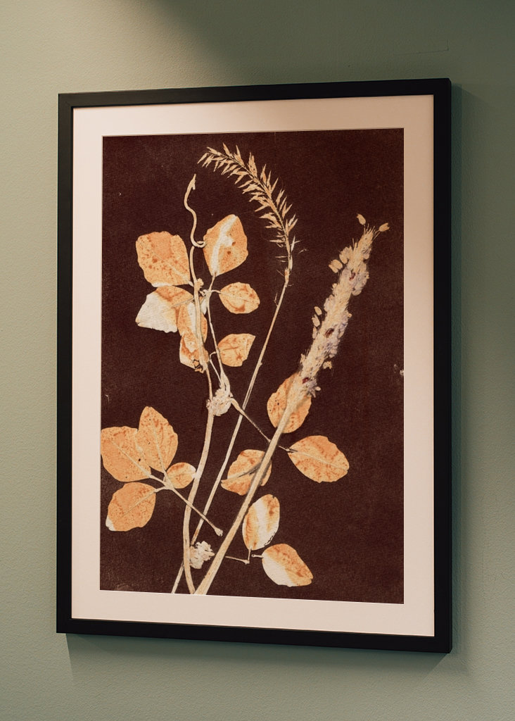 Botanical leaves brown ocre