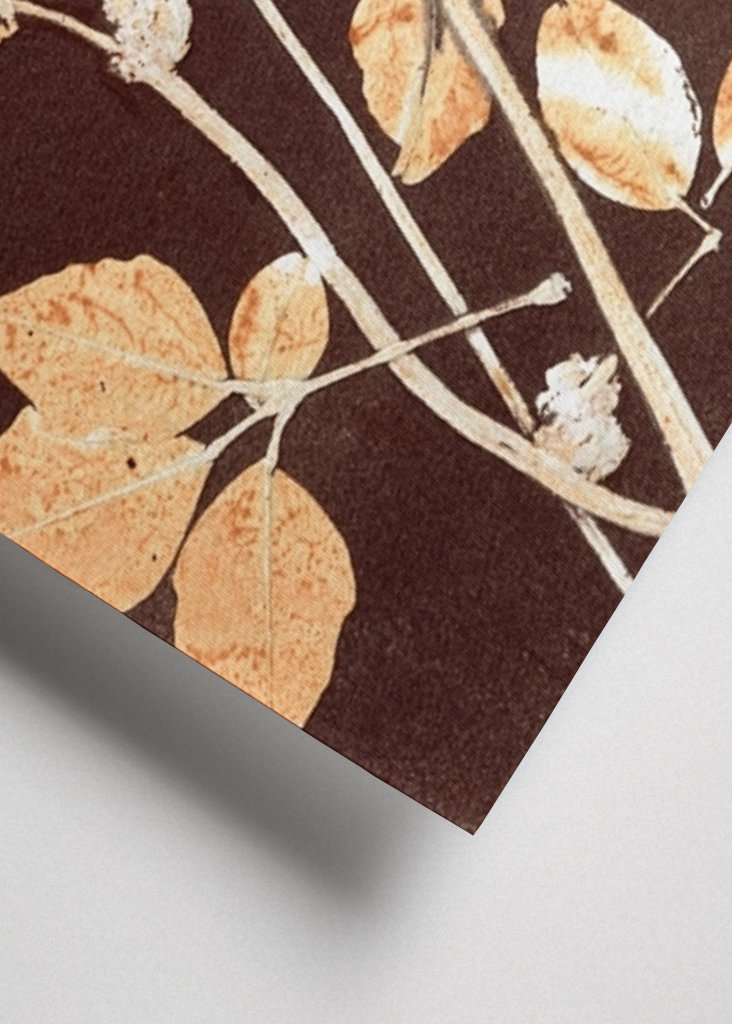 Botanical leaves brown ocre