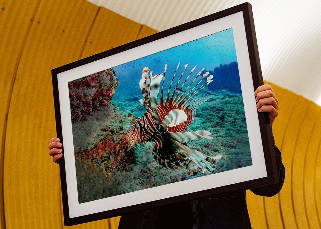 Dračí ryba na lovu