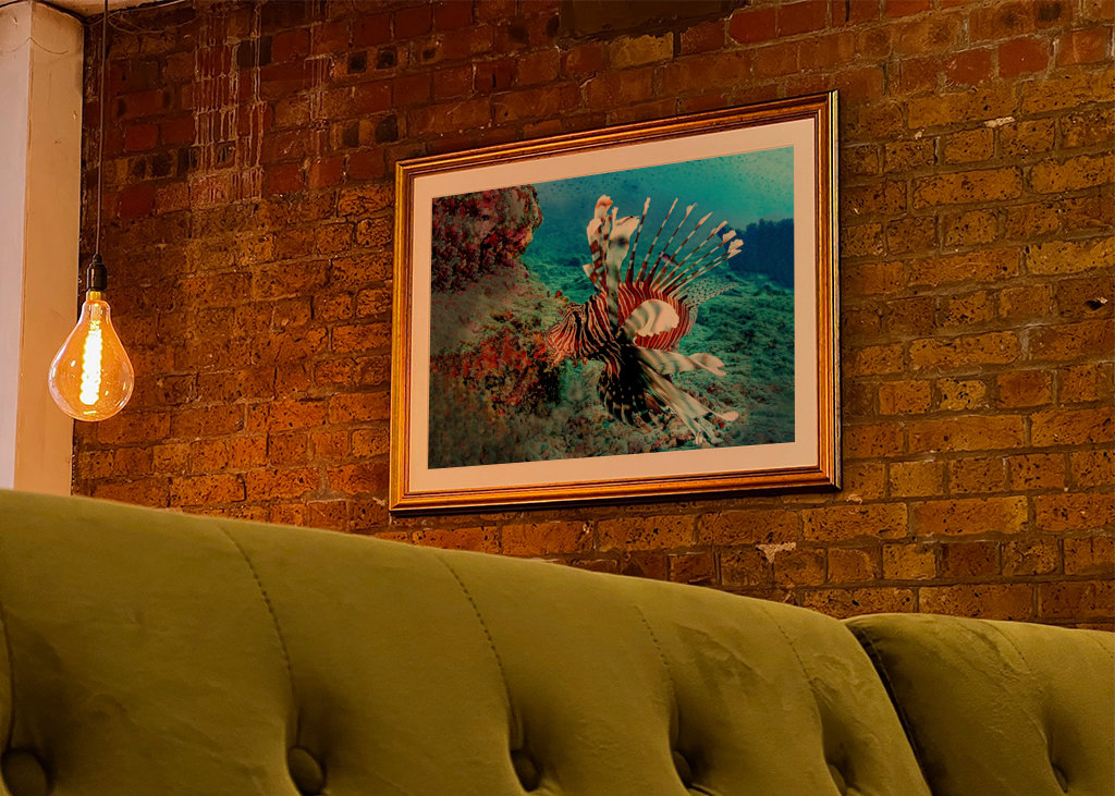 Dračí ryba na lovu