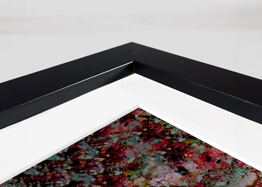 Dračí ryba na lovu