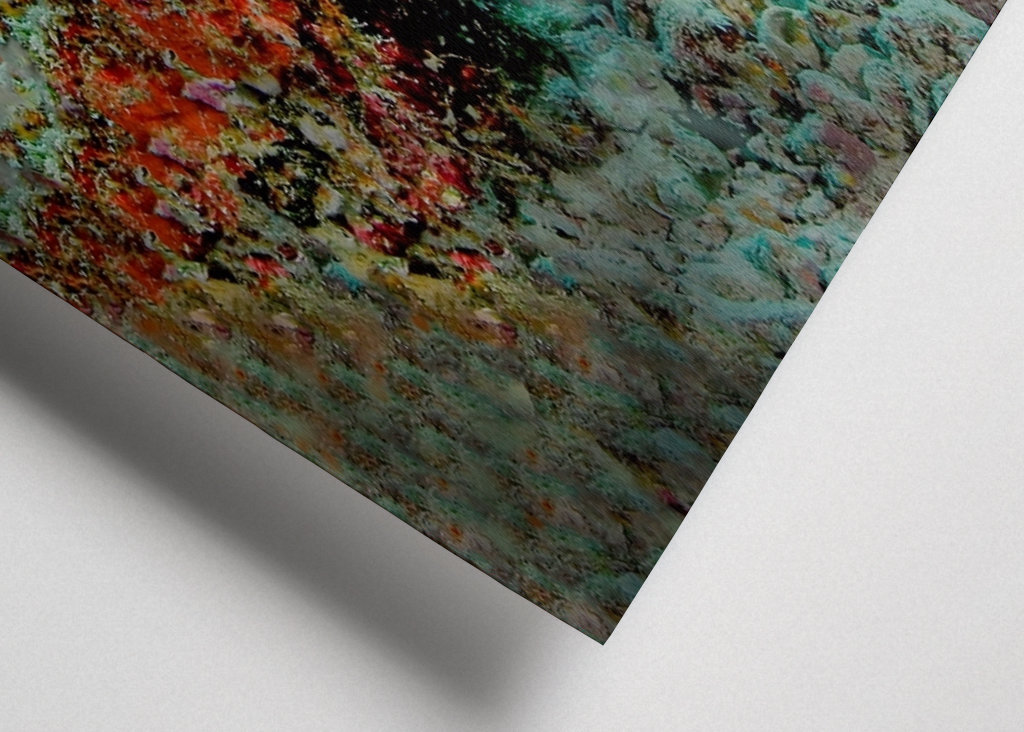 Dračí ryba na lovu