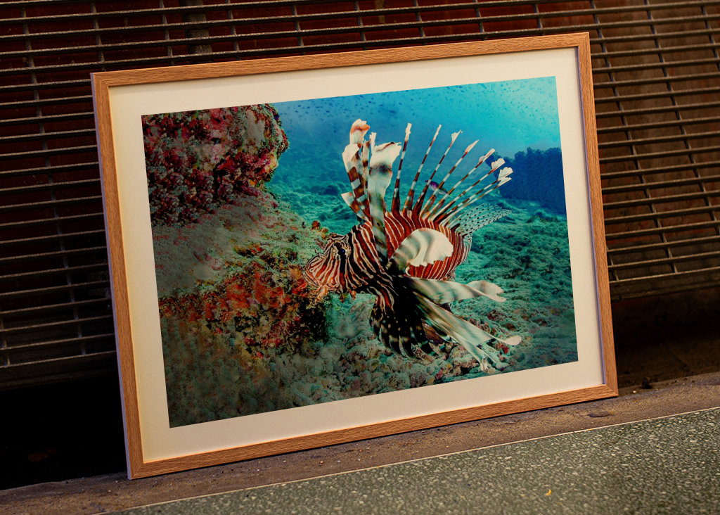 Dračí ryba na lovu