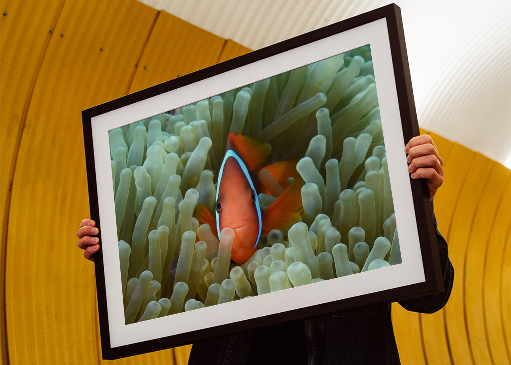 Incontri ravvicinati con un clown  