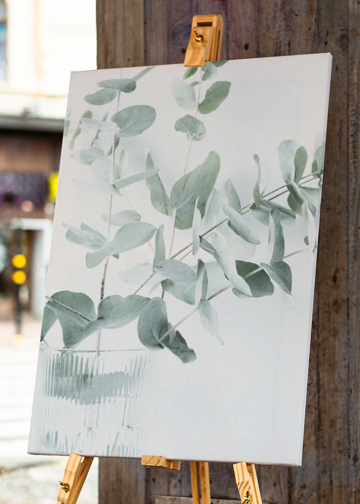 Eukalyptuszweige in einer Vase