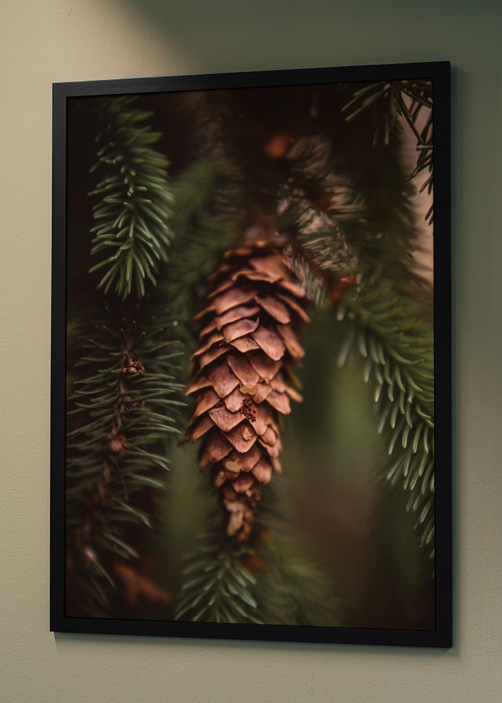 Borová šiška v lese