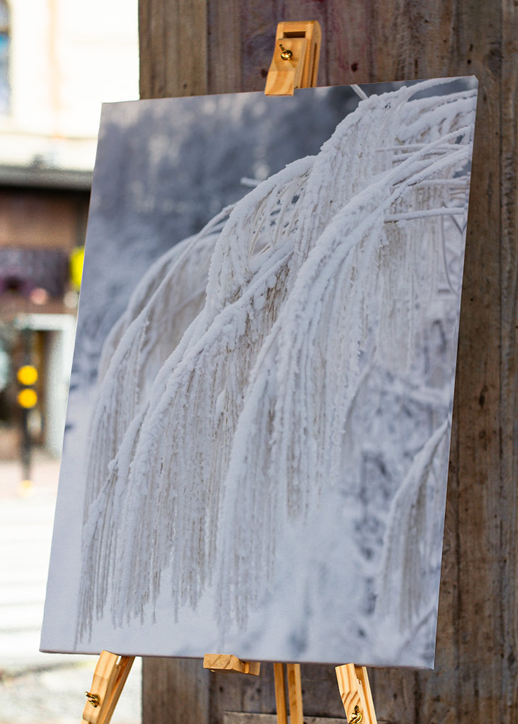 Téli kép a kertben