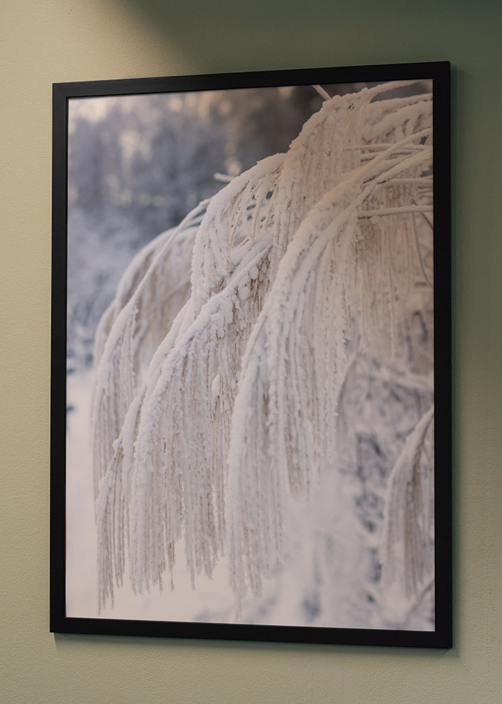 Téli kép a kertben