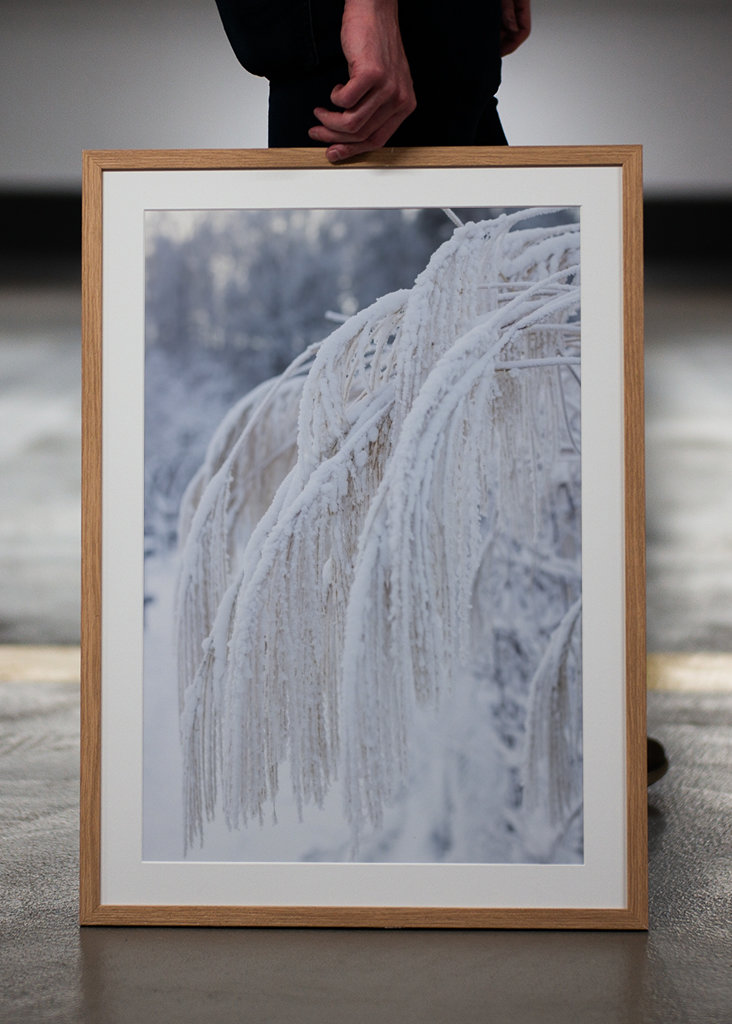 Téli kép a kertben