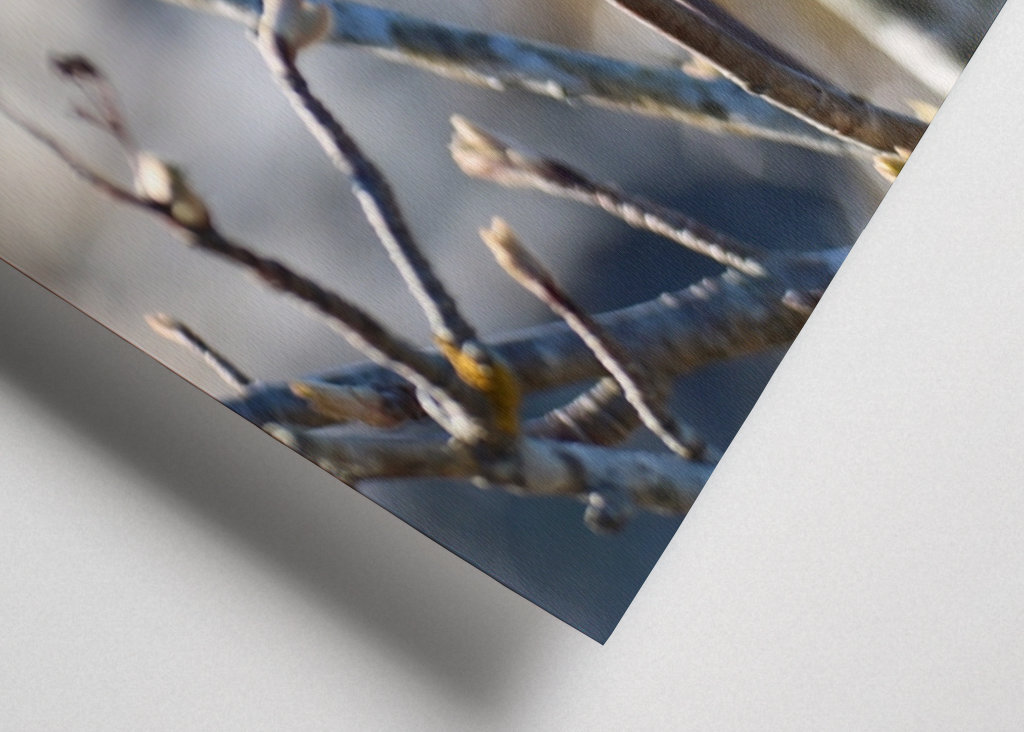 Der Frühling steht vor der Tür