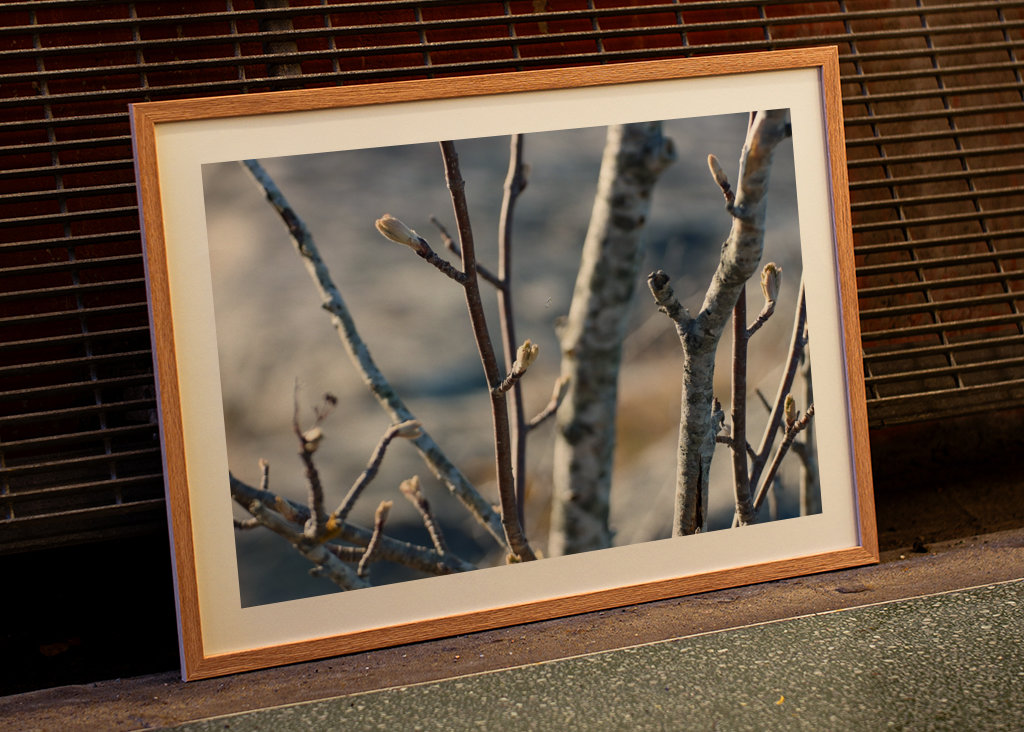 Der Frühling steht vor der Tür