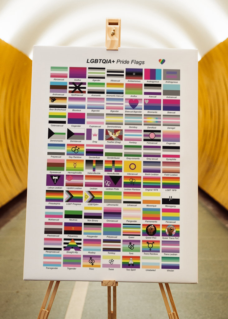LGBTQIA+ Pride flags