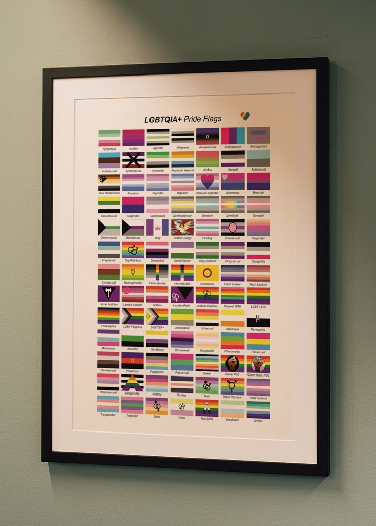 LGBTQIA+ Pride flags