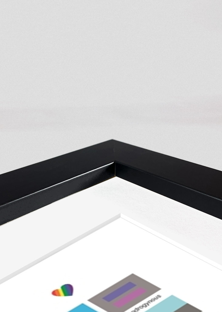 LGBTQIA+ Pride flags