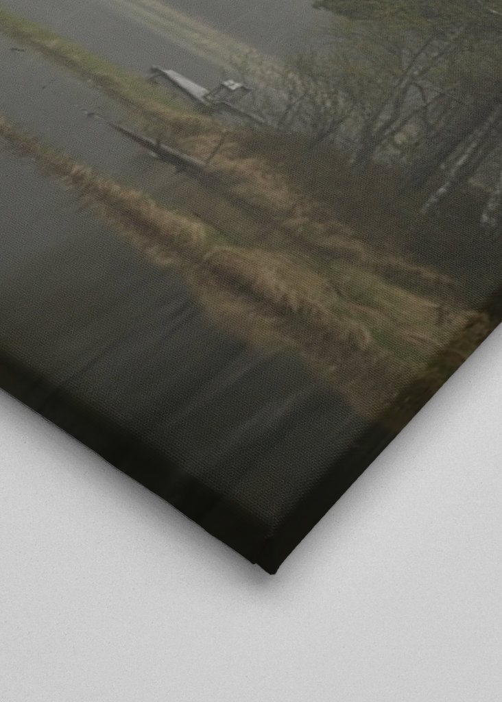 Mlhavý den u jezera