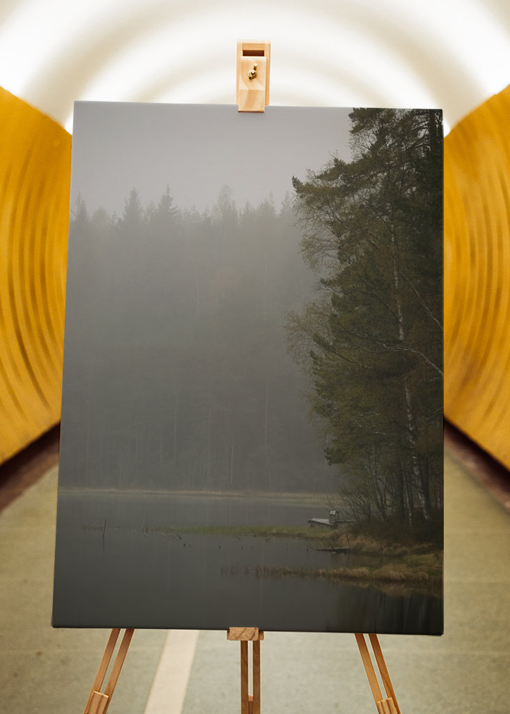 Mlhavý den u jezera