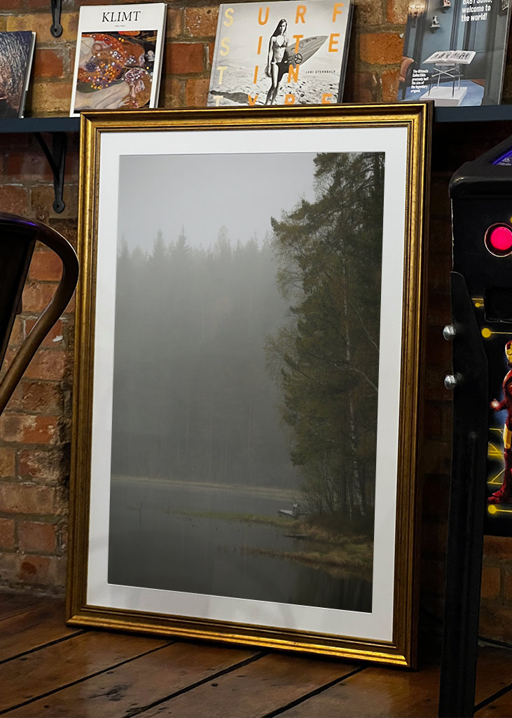 Mlhavý den u jezera