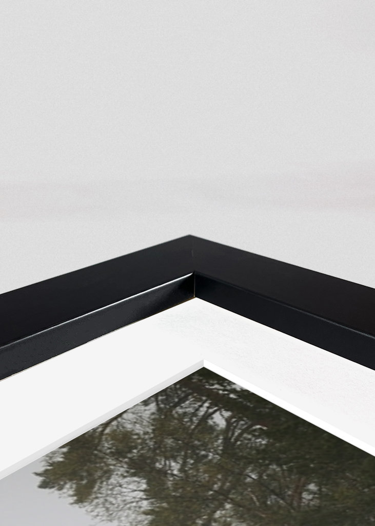 Mlhavý den u jezera