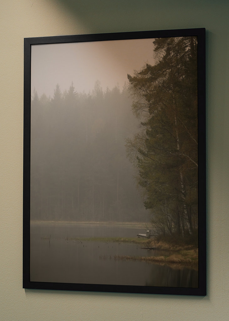 Mlhavý den u jezera