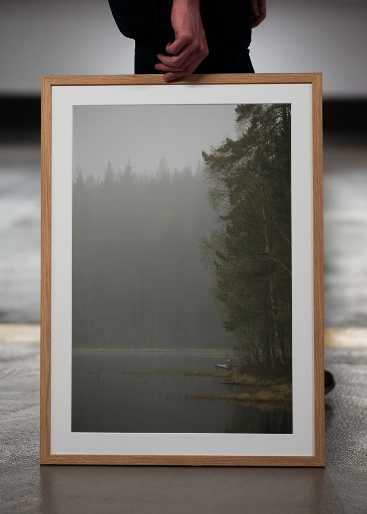 Mlhavý den u jezera