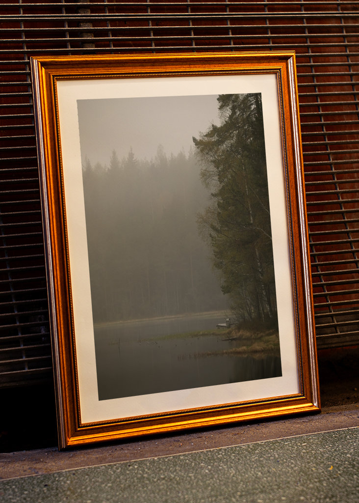 Mlhavý den u jezera