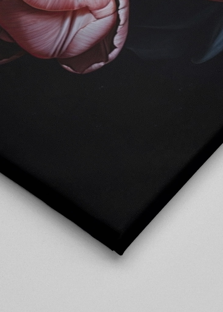 Pink Tulips on Black 