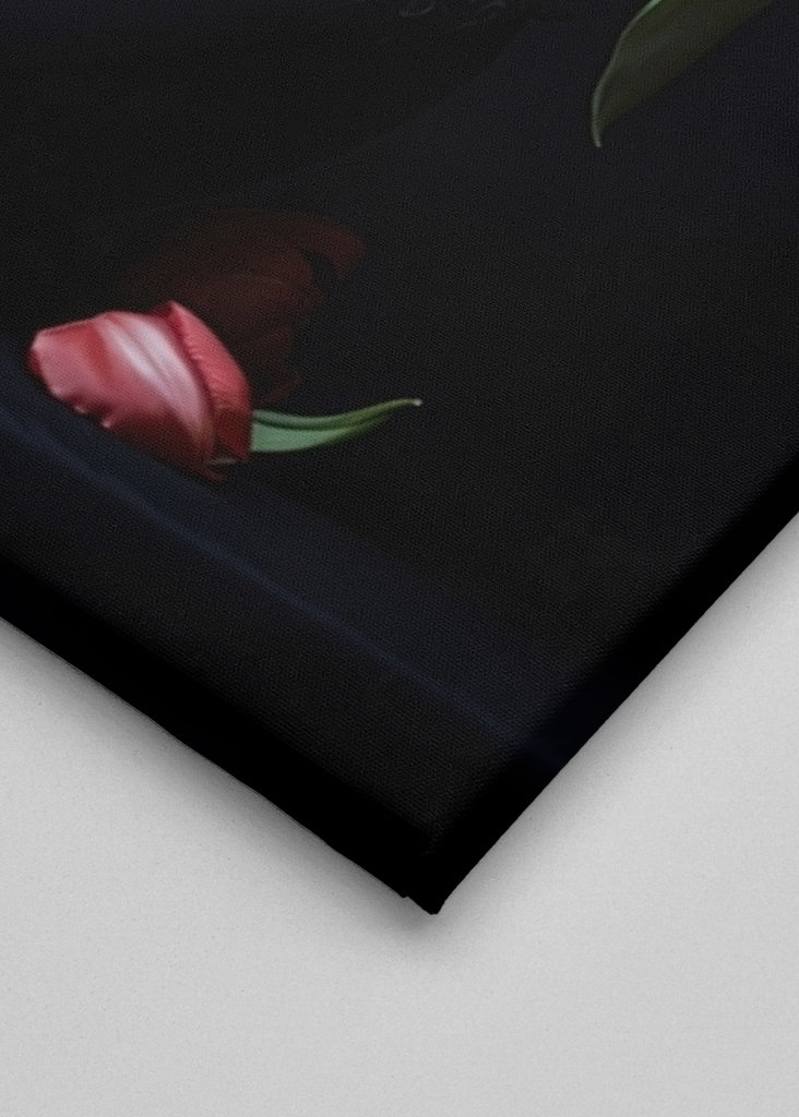 Colourful Tulips in a Vase