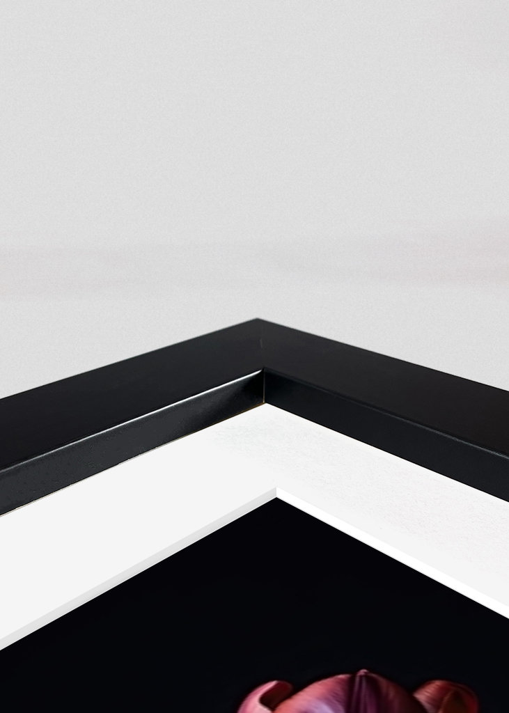 Colourful Tulips in a Vase