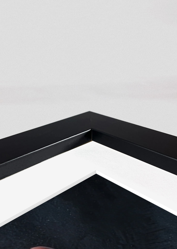 Roze Groene Tulpen op Zwarte