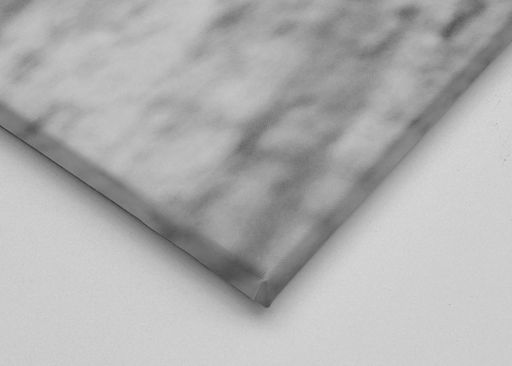 Il leone con la lingua rosa