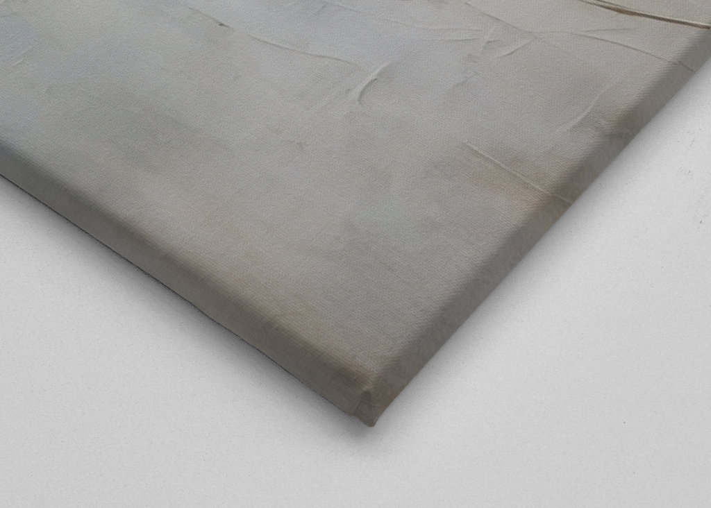 White Spring Flowers