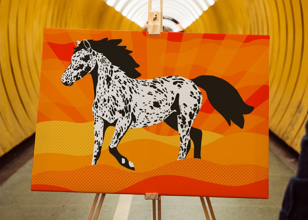 Plettet hest ved solnedgang