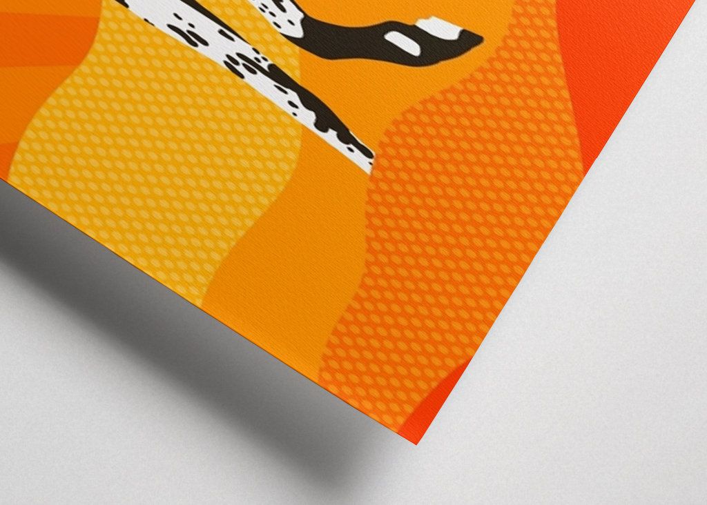 Plettet hest ved solnedgang