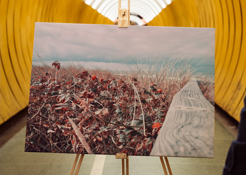 Rosiger Strandübergang 