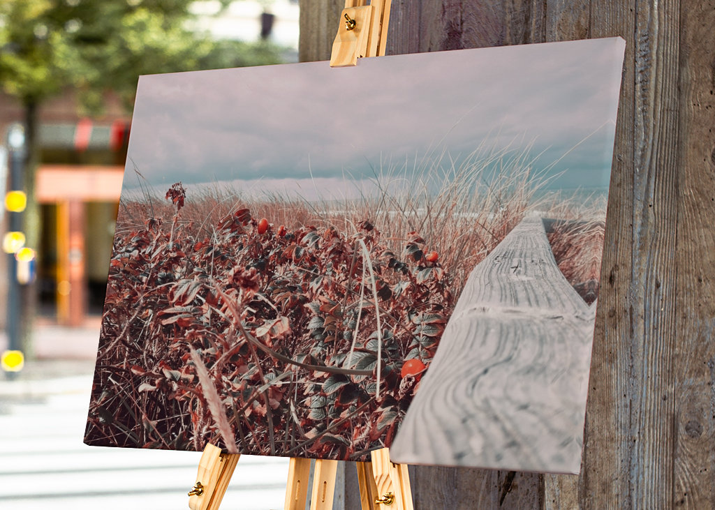 Rosiger Strandübergang 
