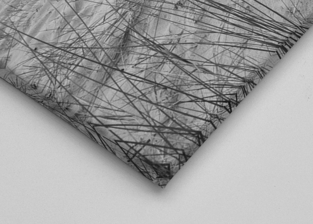 Naplavené drevo na pláži